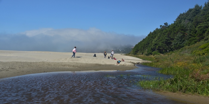 sand dunes on Agate Beach